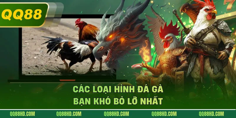 Các loại hình đá gà bạn khó bỏ lỡ nhất